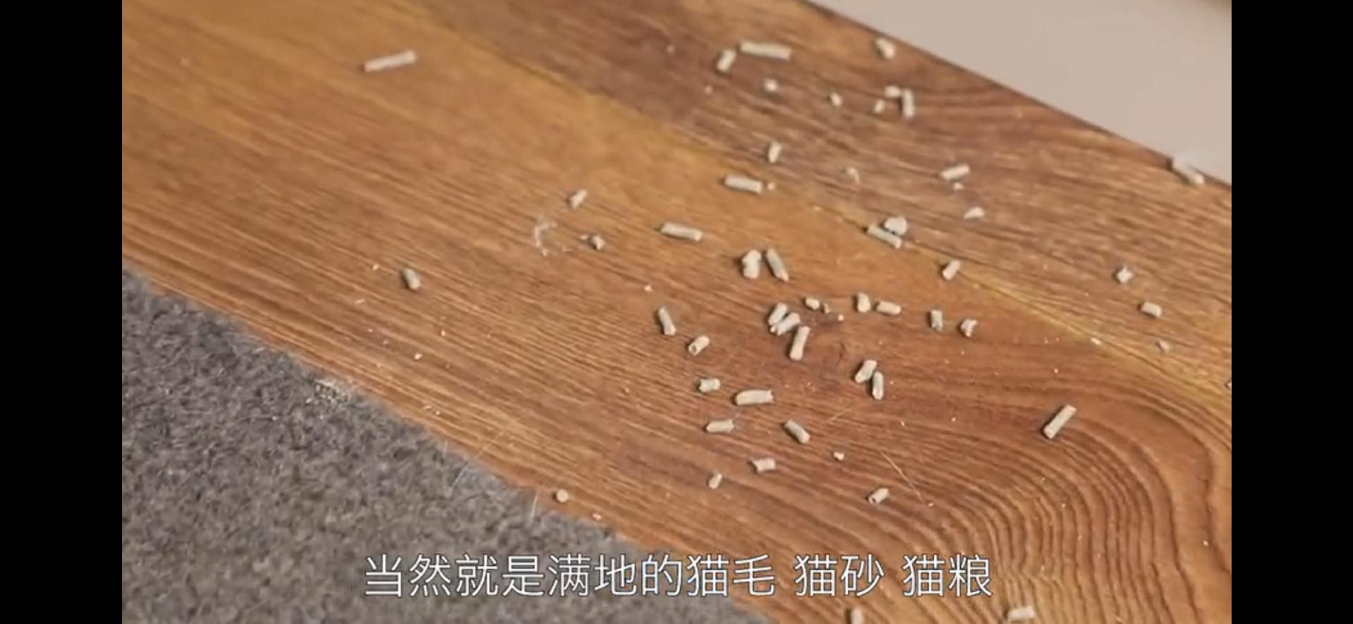 戴森吸尘器和飞利浦哪个好,戴森跟飞利浦吸尘器对比