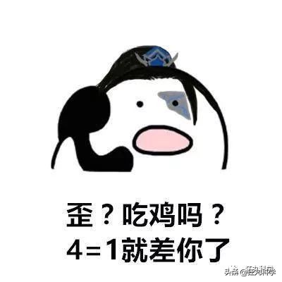 鸡头放摄像头视频,鸡头上装摄像机