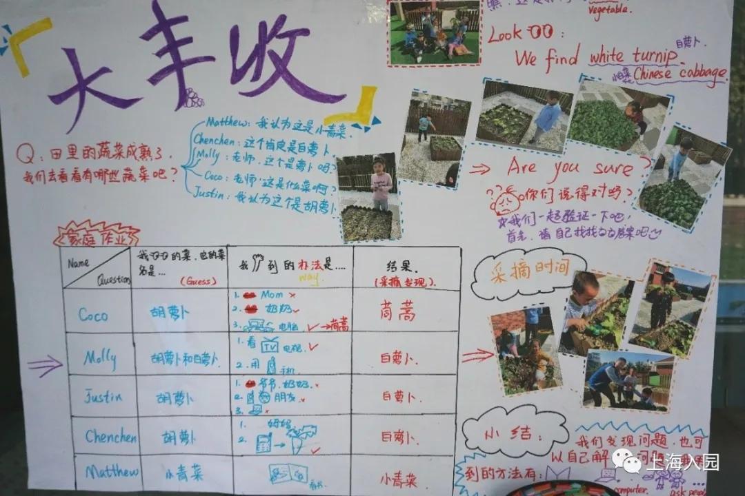 宝山外国语幼儿园,上海顶尖国际幼儿园