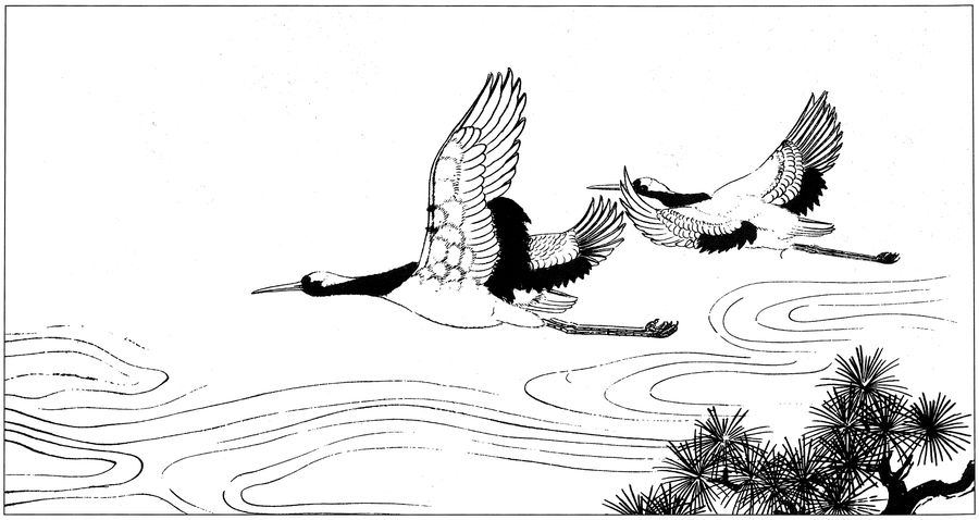 仙鹤桃子工笔白描稿,工笔画仙鹤高清图上色步骤图