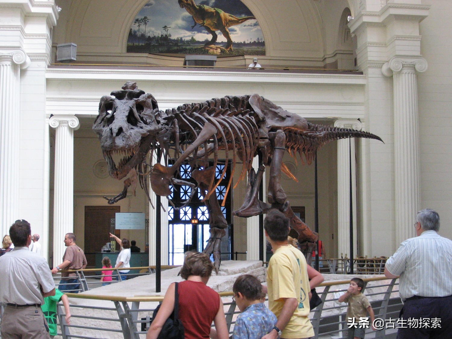 霸王龙最新研究报告,2024年霸王龙最新消息