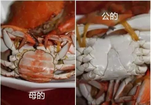 汕尾人吃海鲜,原来海边人是这样吃海螺的