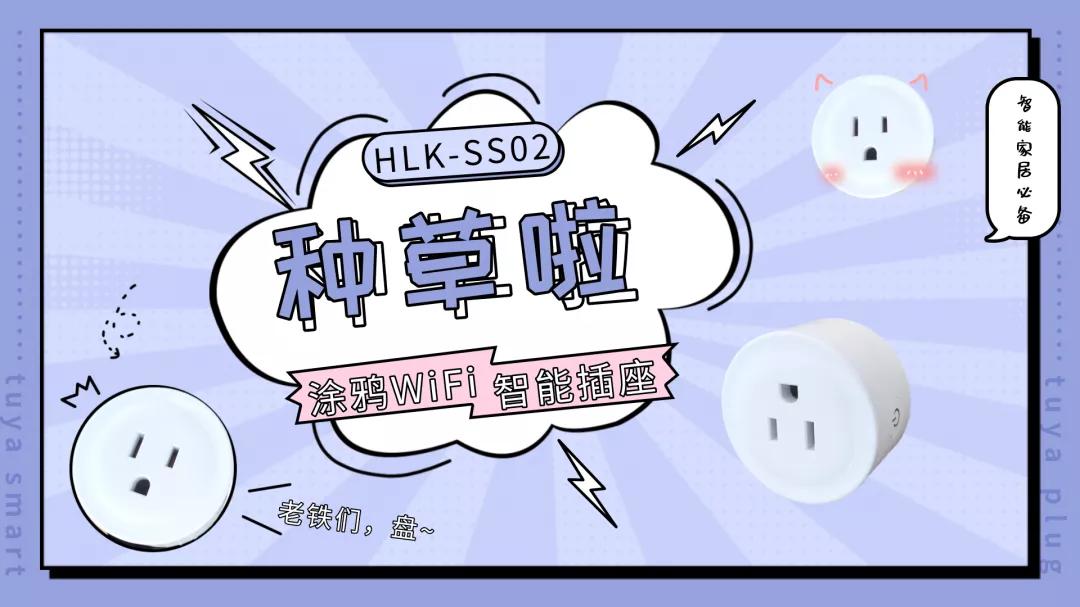 WiFi离线语音插座联网详细说明