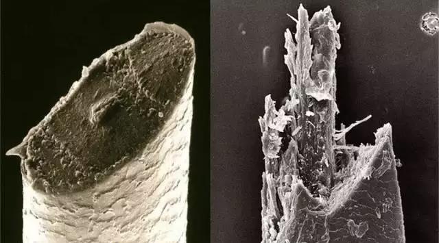 国货之光震撼,国货之光超人剃须刀