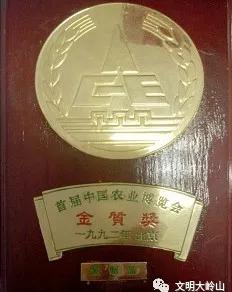 东莞大岭山镇：湾区制造名镇，再来一场文化突围