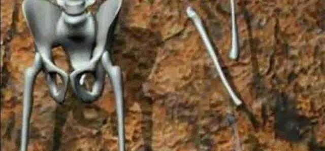 考古发现7300年前的双性人，族人因为恐惧将其杀死，*体下**刺入锐器