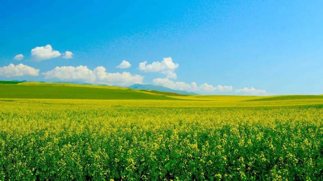 最新最全的成语大全,成语大全汇总值得收藏