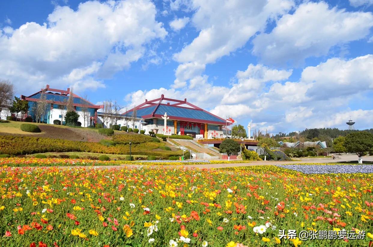 云南大理巍山火把节2019,云南巍山火把节