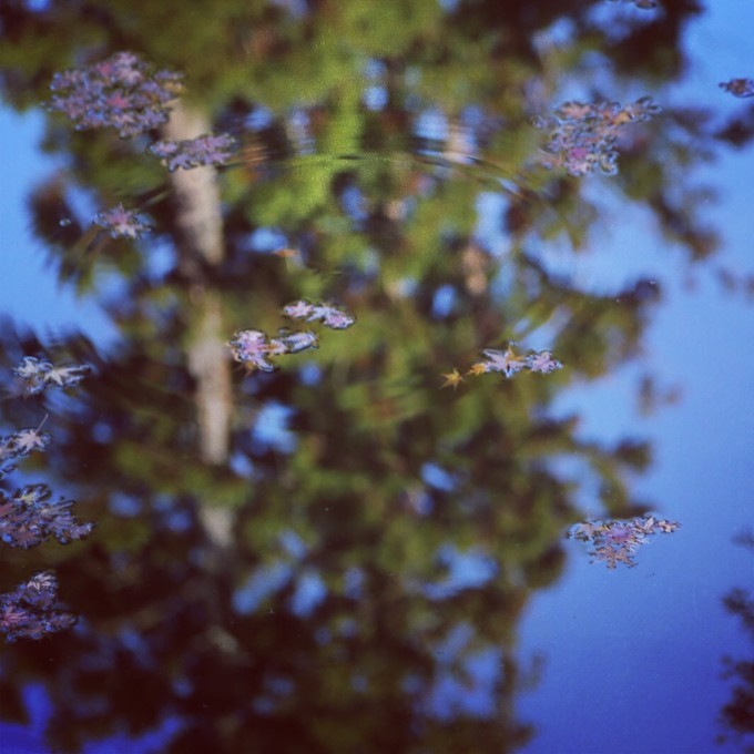 日本京都枫叶季旅游攻略,日本关西赏枫旅游攻略