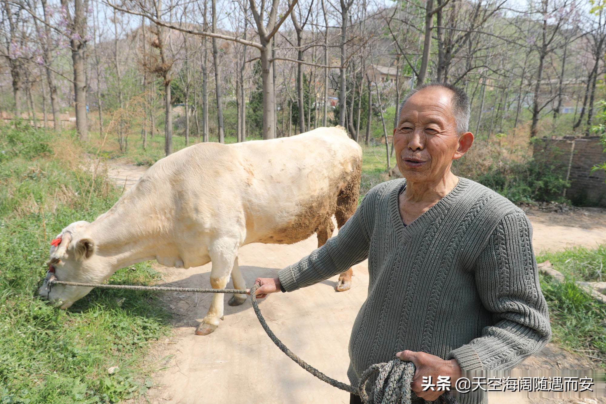 山西8旬大爷在农村做无本生意，3年净赚3万元，看他干的啥营生