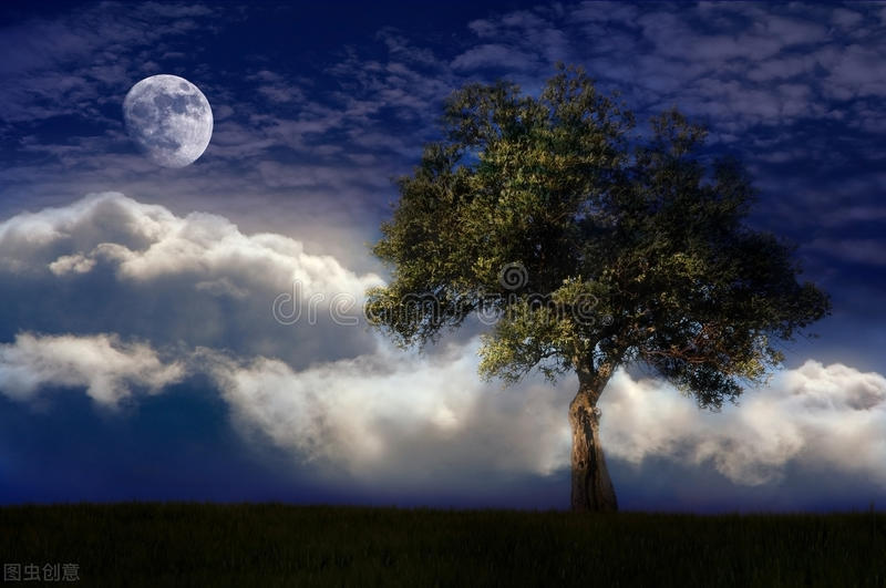 梦见牙齿掉落是吉是凶,梦见牙齿掉落流血是什么征兆