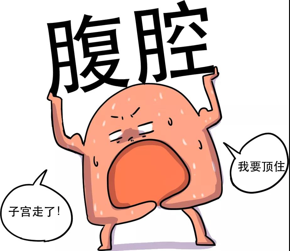 嘘！你的盆底肌居然有这么多悄悄话跟你说