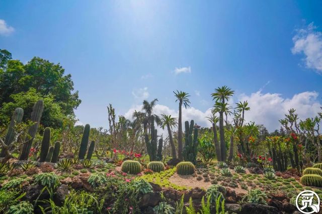 深圳史上最大最美的花展来啦,走进深圳仙湖植物园的国际花展