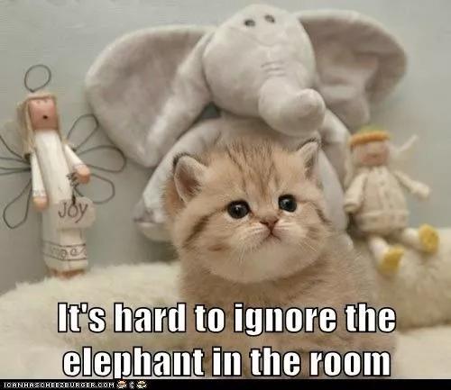 elephantsintheroom造句,elephantintheroom