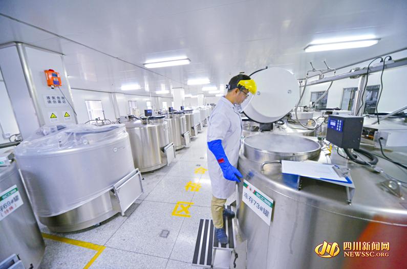 脐带血治疗脑瘫自闭症,脐带血用于治疗自闭症几岁有效