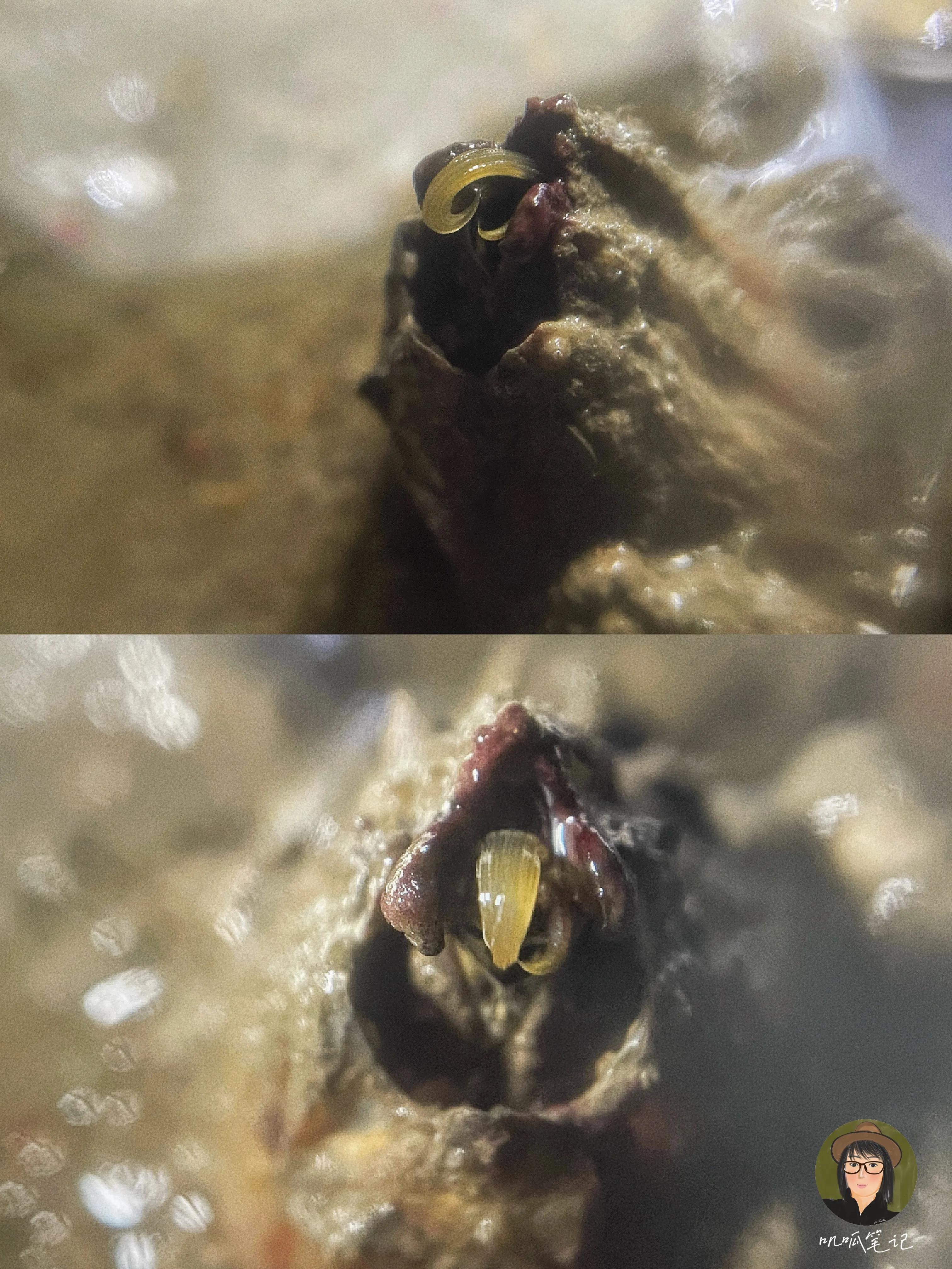 这些海洋里的生物你都见过吗,海洋生物你们有见过吗