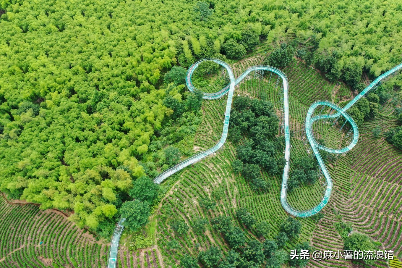 安吉有座国内最长的玻璃漂流滑道，藏在森林中，落差高达380米