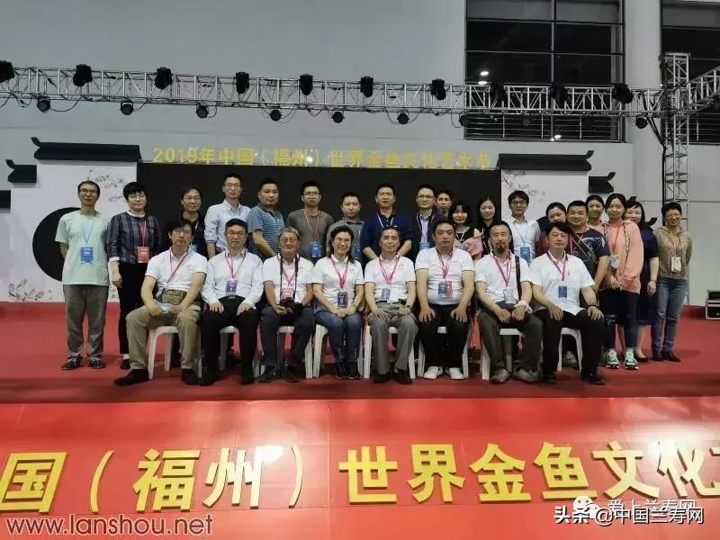 世界金鱼大赛在福州举行,2019中国世界金鱼大赛