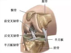 有哪些不伤膝盖的减肥操,减肥不伤膝盖的运动视频