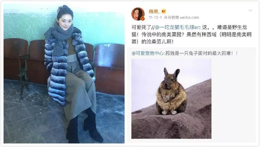 王子文出席活动穿15公分高跟鞋,王子文晒新鞋子