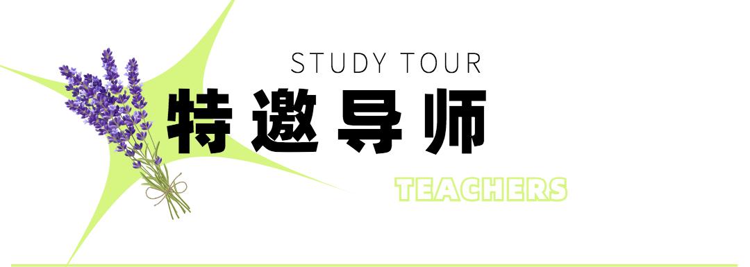 奇妙夏日，跟着*物文**去旅行~