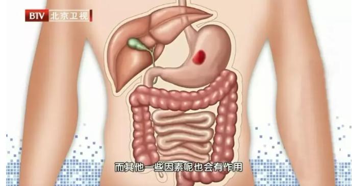 灵芝助睡眠,灵芝泡水治疗失眠的神奇功效