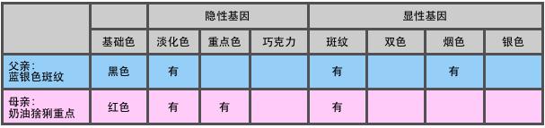 猫咪颜色遗传规律,猫咪遗传基础知识大全