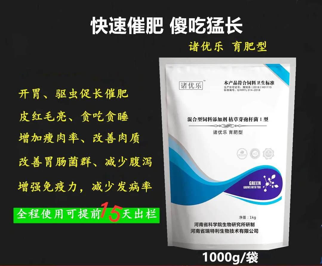 仔猪掐架,仔猪掐架是什么原因