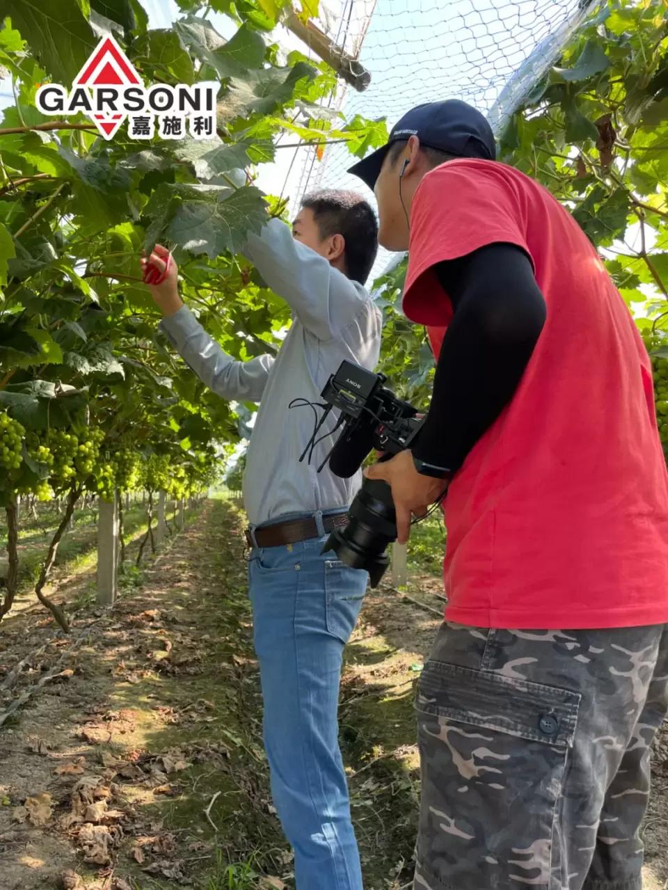 嘉施利央视广告,嘉施利金牌根动力复合肥