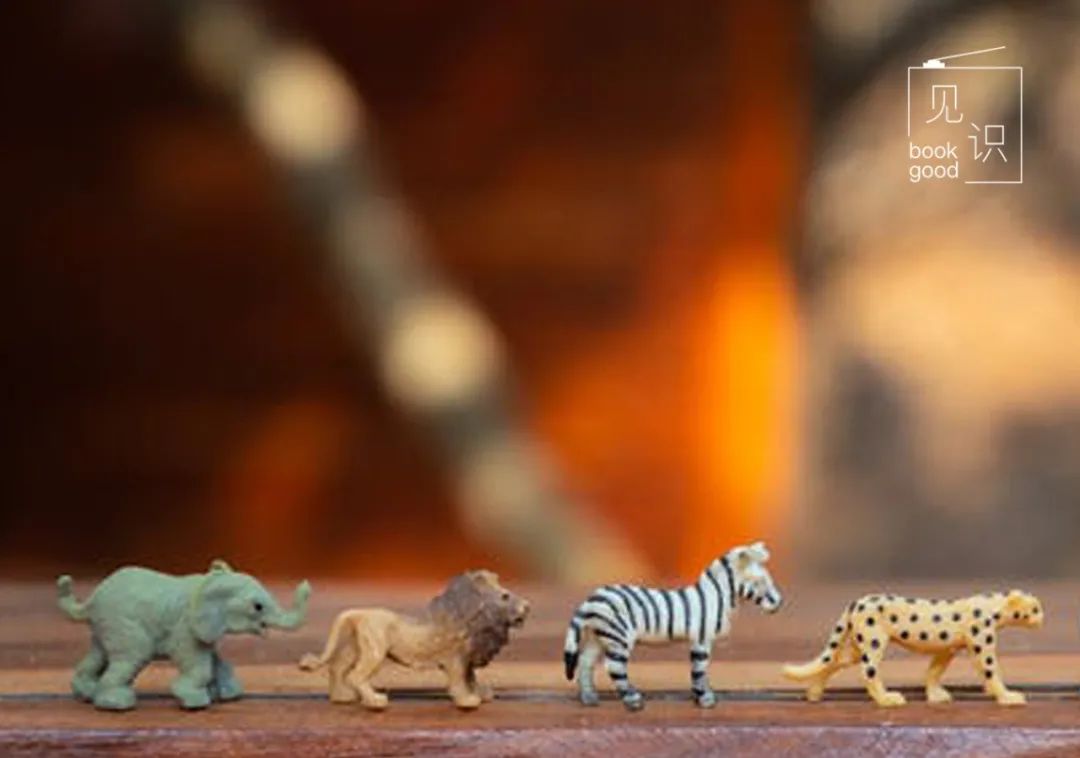 《亲爱的小课桌》铁腕妈妈引热议：有远见的父母，舍得放手