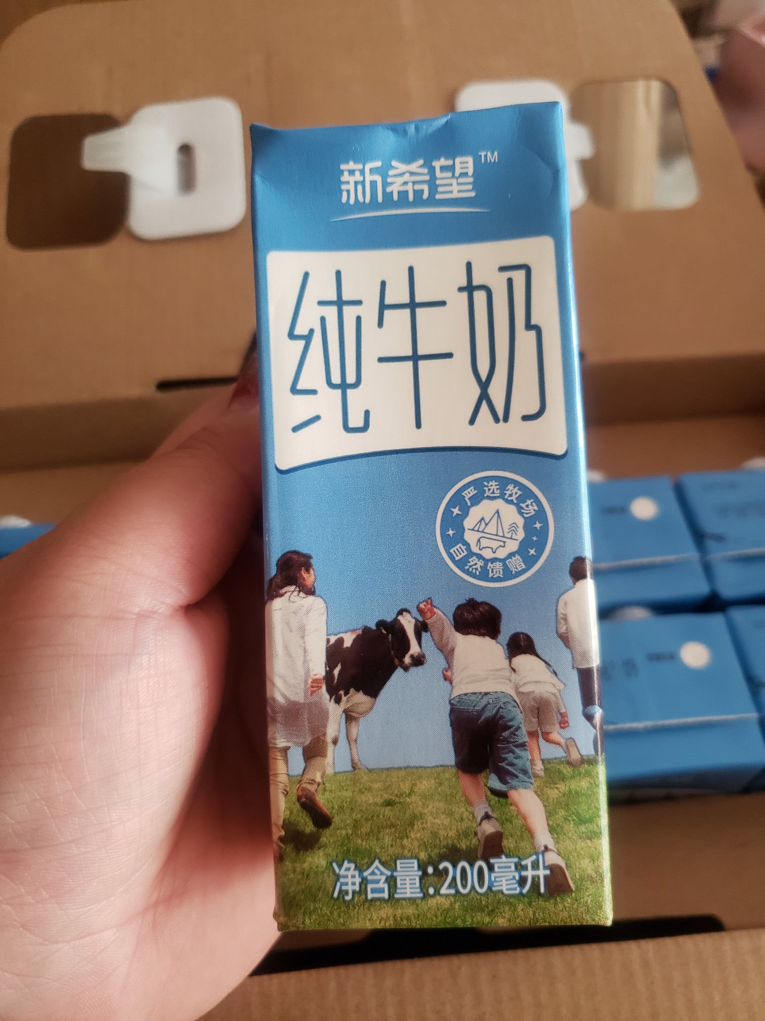 双11超便宜好货纯牛奶,双11特价纯牛奶