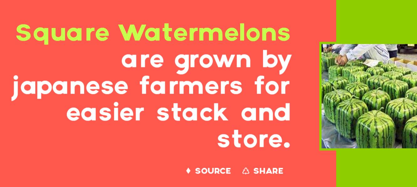 盘点十个日本的奇葩冷知识,你不知道的那些日本奇葩事