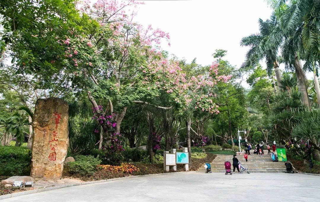 深圳地铁7号线有什么好玩的,深圳地铁十四号线游玩攻略