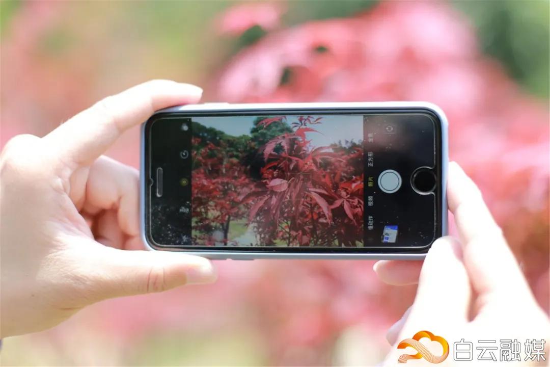 阳光正好来场户外,阳光正好去爬山