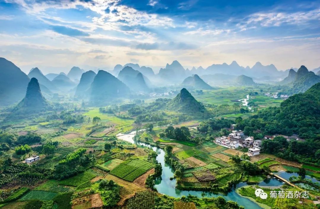 中国葡萄酒主产区之一,宁夏贺兰山东麓葡萄酒产区