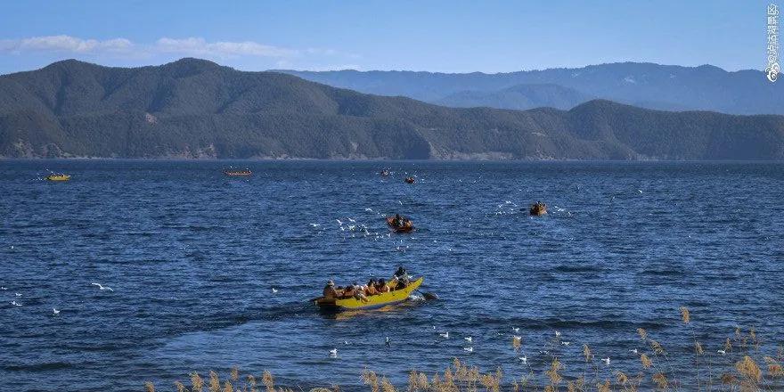 5月18日成都免费游博物馆怎么预约,成都周边游玩哪些地方需要预约的