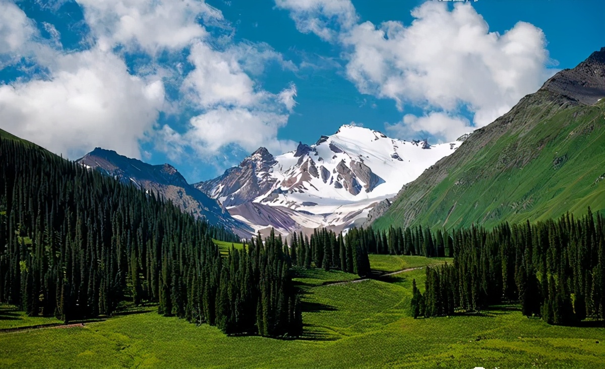 昌吉温泉推荐,打卡昌吉网红森林音乐喷泉
