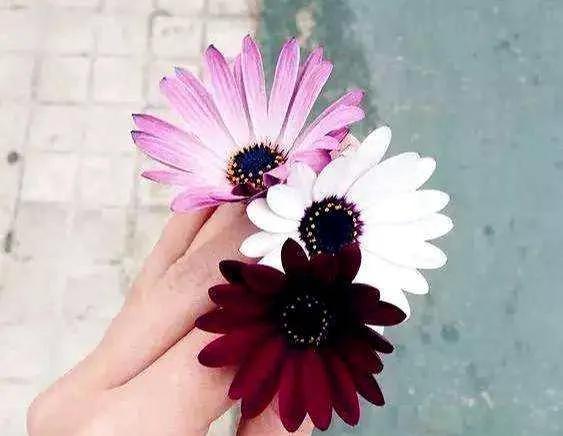 简书经验,简书怎么入门