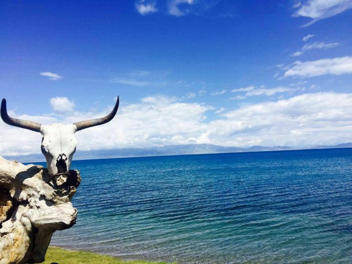 路边切糕为何这么贵,切糕为什么这么贵呢