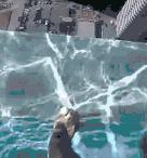 搞笑gif嫂子包饺子,搞笑gif姑娘你这次真的是玩过头了