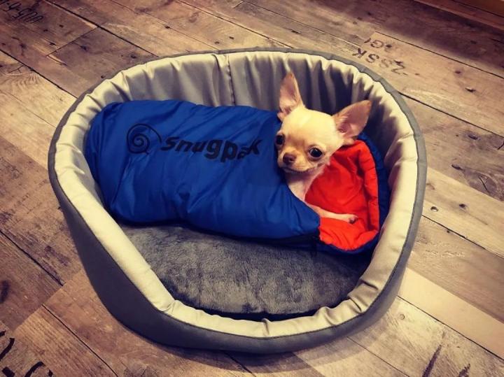 山系户外风国潮品牌,山系户外的知名品牌