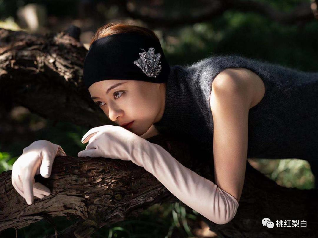 黄圣依和刘敏涛,女明星刘敏涛