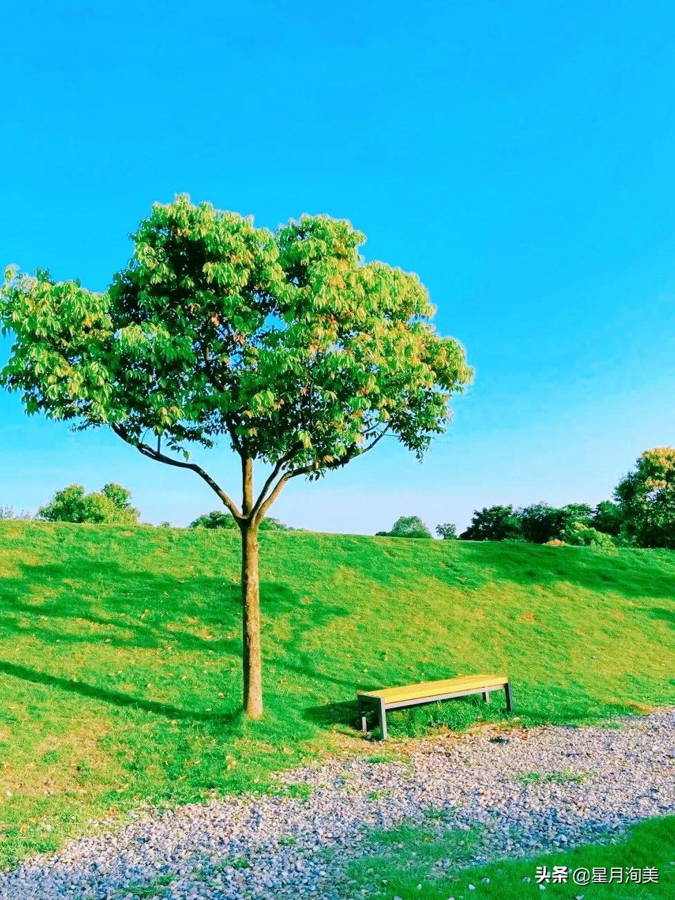 成都周边小众景点一日游,成都又一打卡网红地