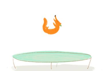 网上卖的乳胶床垫是真是假,乳胶床垫和席梦思床区别