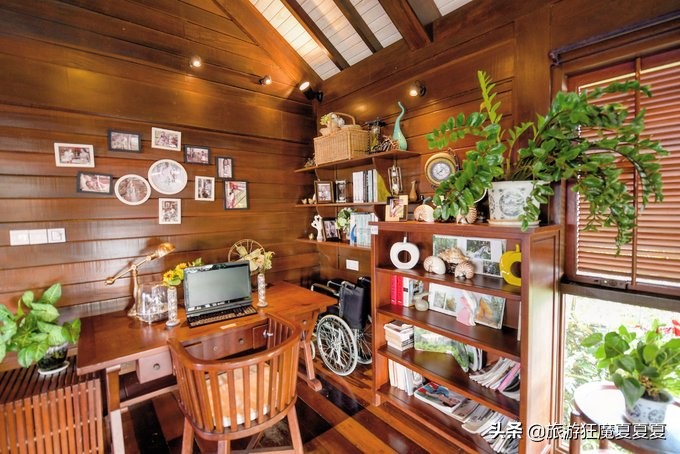 三亚亚龙湾热带雨林美景,在三亚感受亚龙湾的惬意