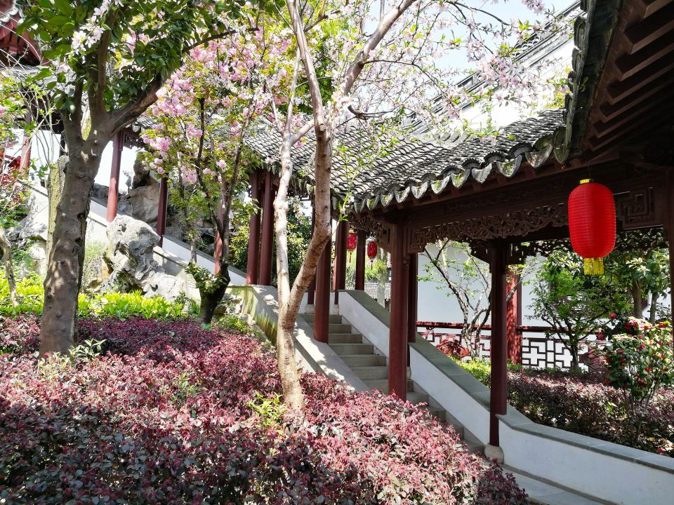 上海市嘉定区南翔古镇改造,上海嘉定古镇老街图片