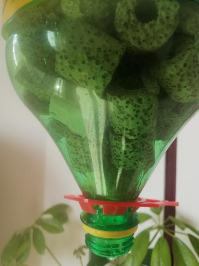 pvc水管自制鱼缸过滤器视频,怎么用雪碧瓶做过滤器养鱼