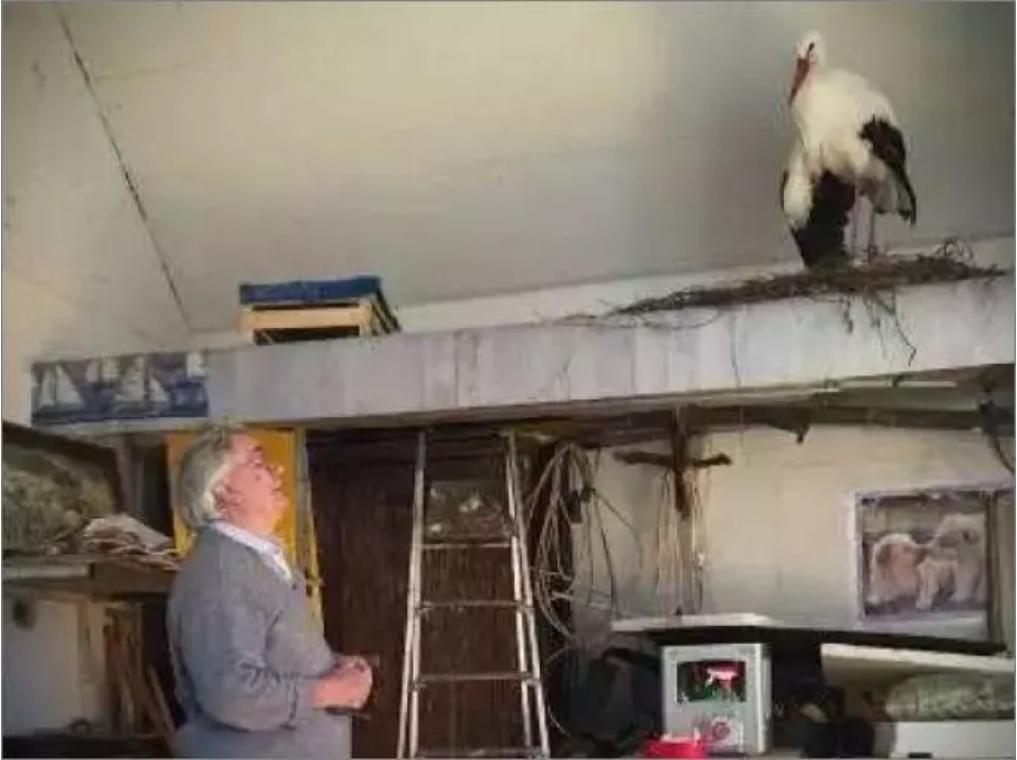 18年感人的爱情故事视频,18年的爱情故事