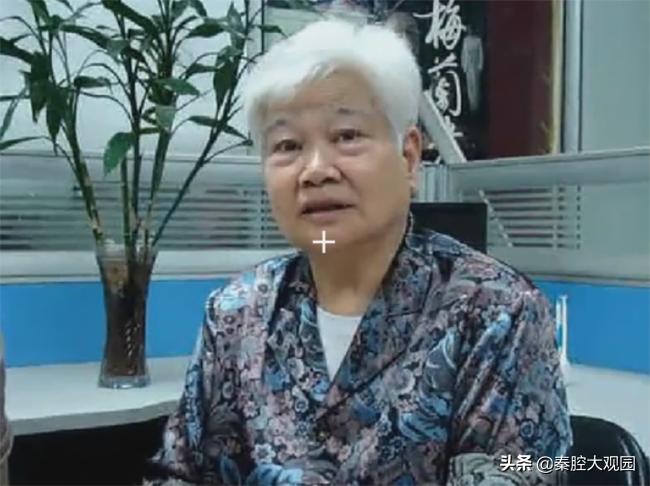 了解陕西兴平市剧团前后