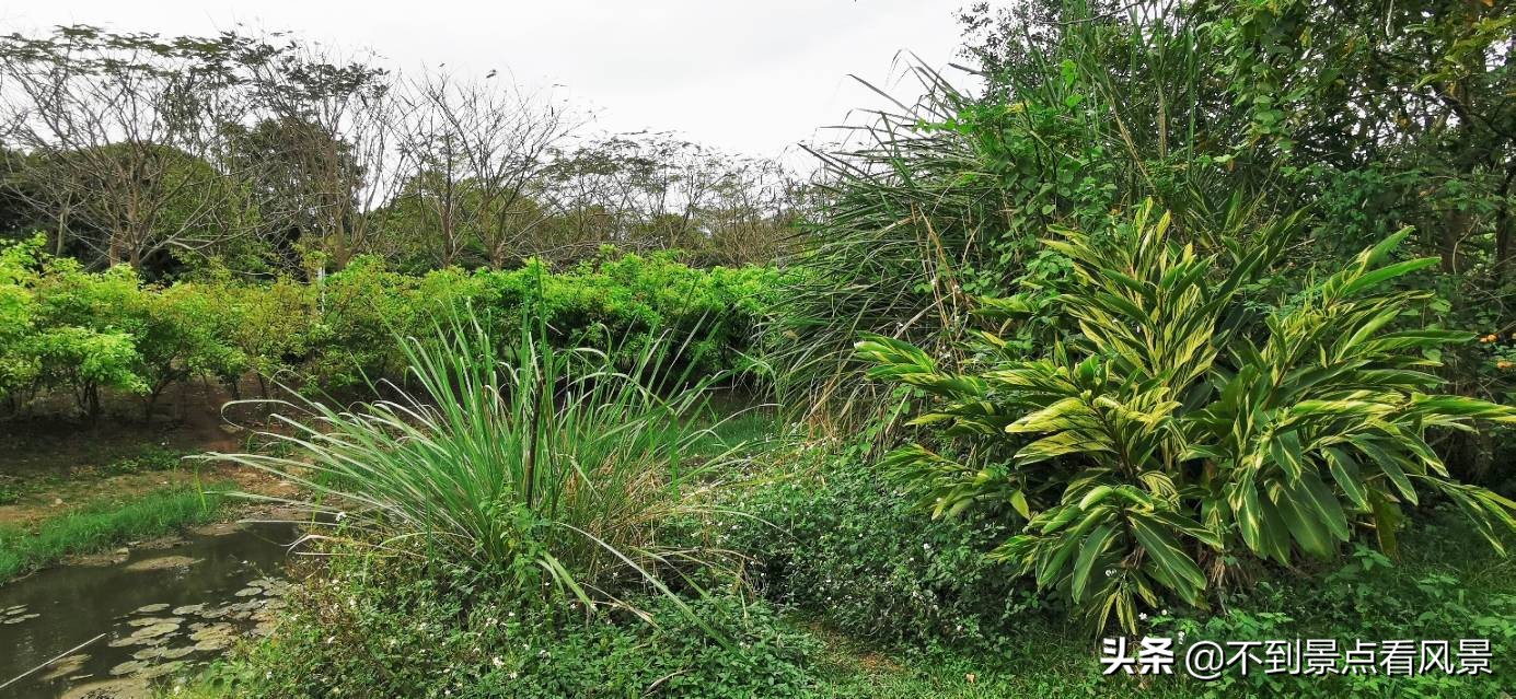 海口海甸岛白沙门公园夜景,海口旅游景点白沙门